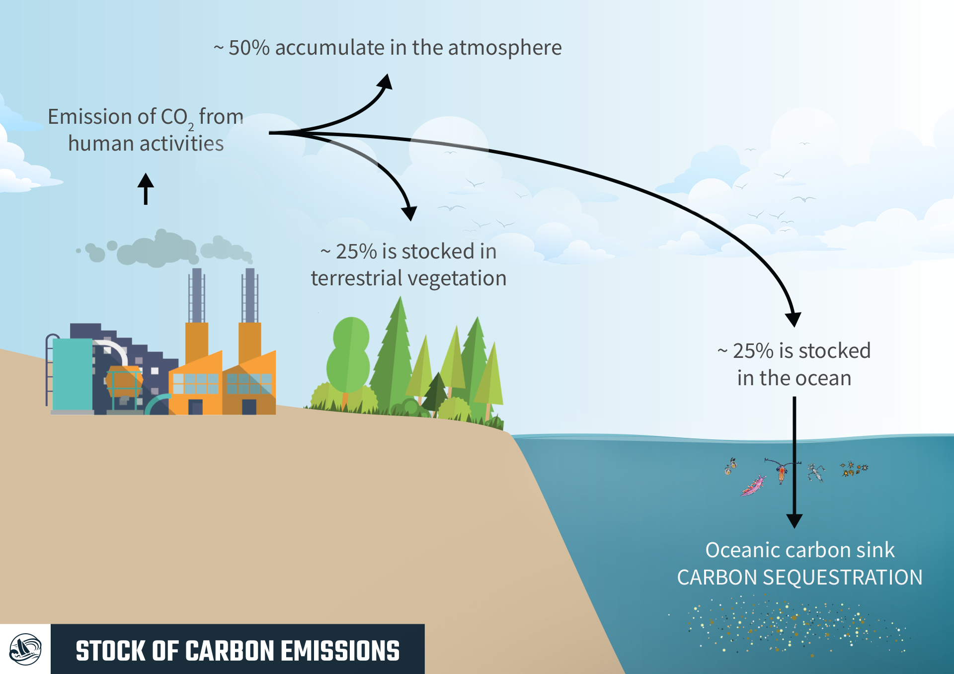 carbon emissions